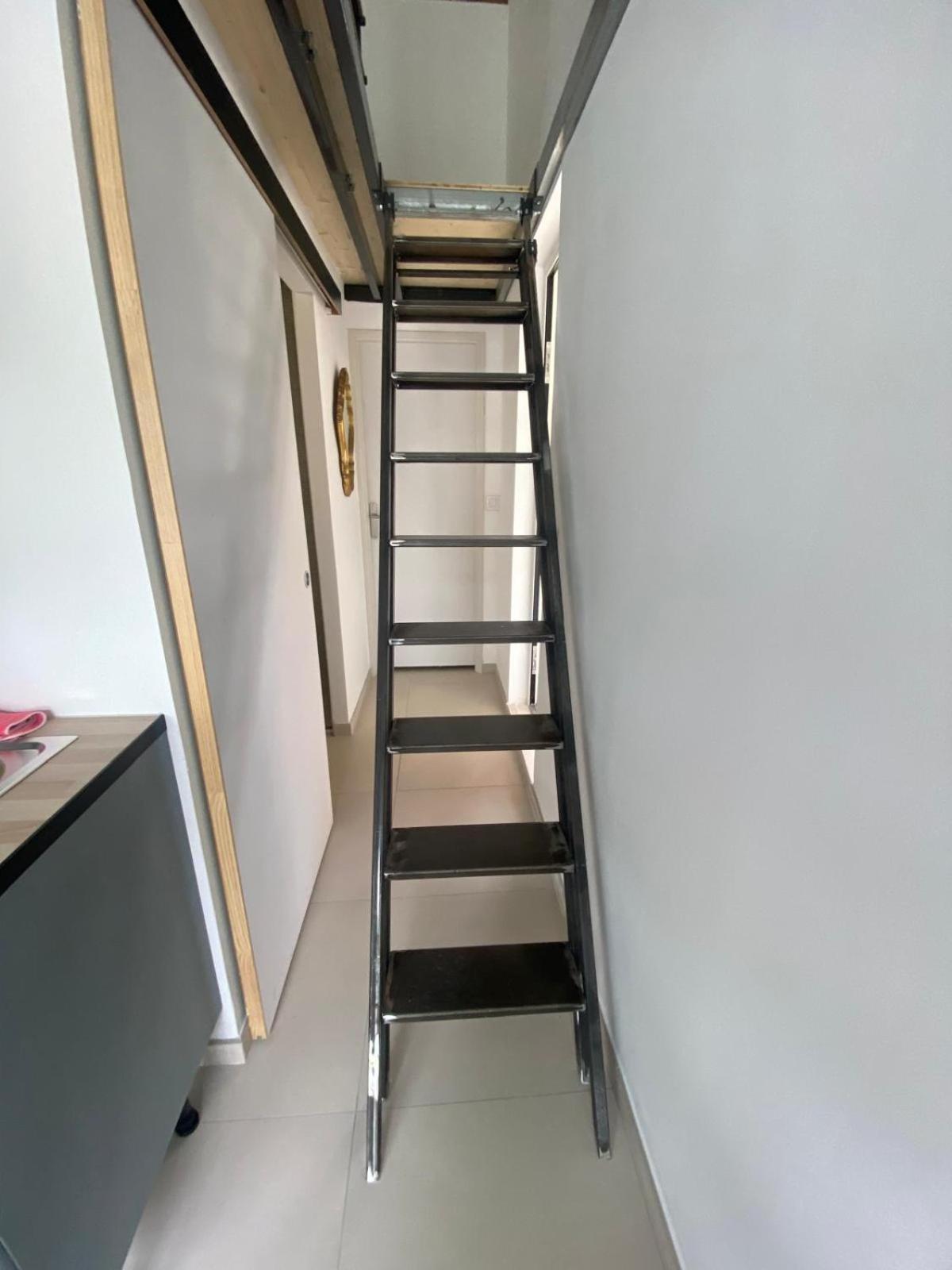 Nouvelle T2 Mezzanine Et Piscine Appartement
